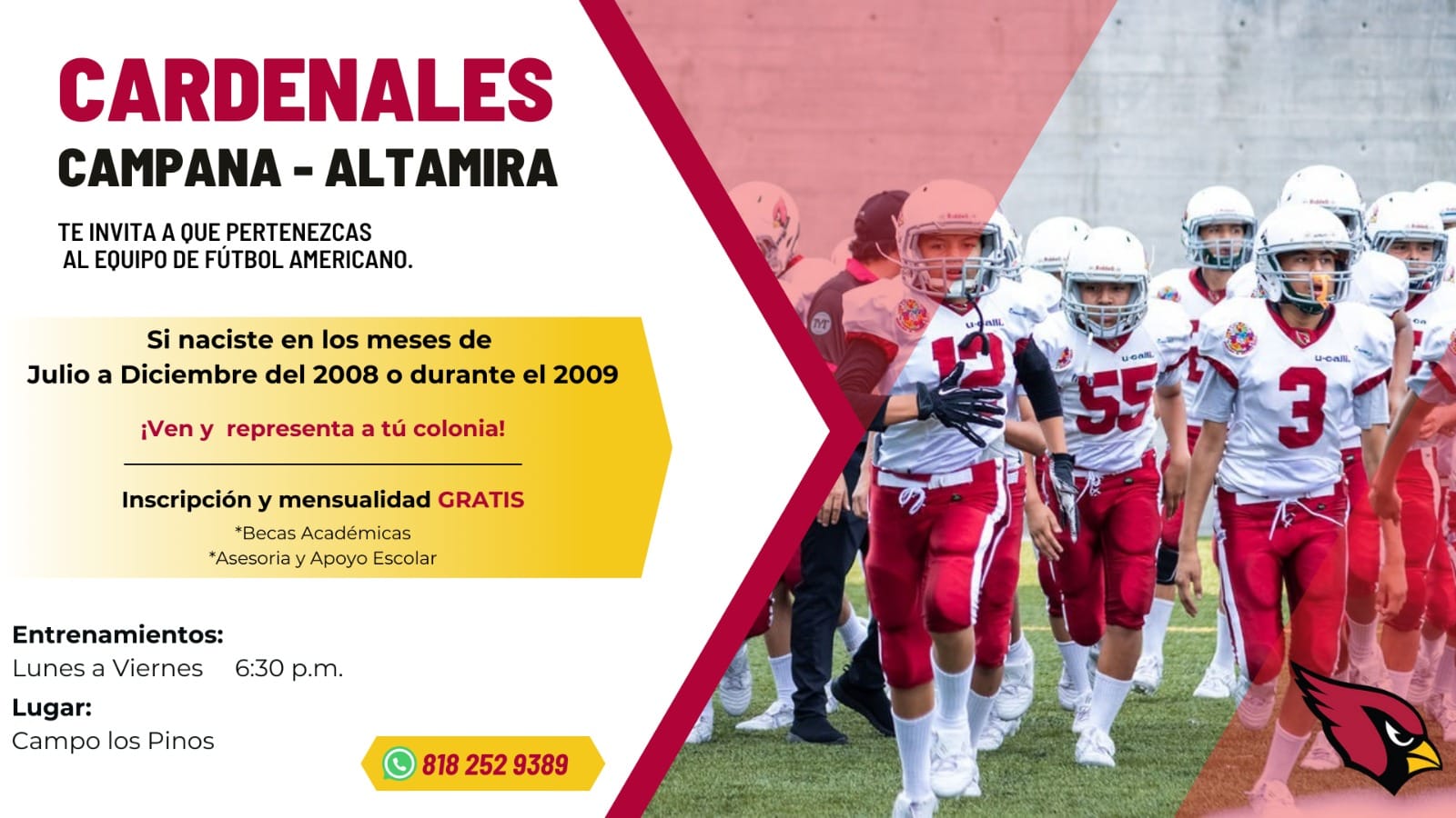 Campana – Altamira: Cardenales te invita a ser parte del equipo de fútbol americano